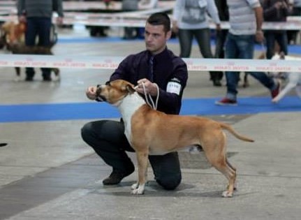 Hector of Mont Mesly Squad