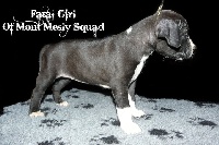 Fatal Girl Of Mont Mesly Squad